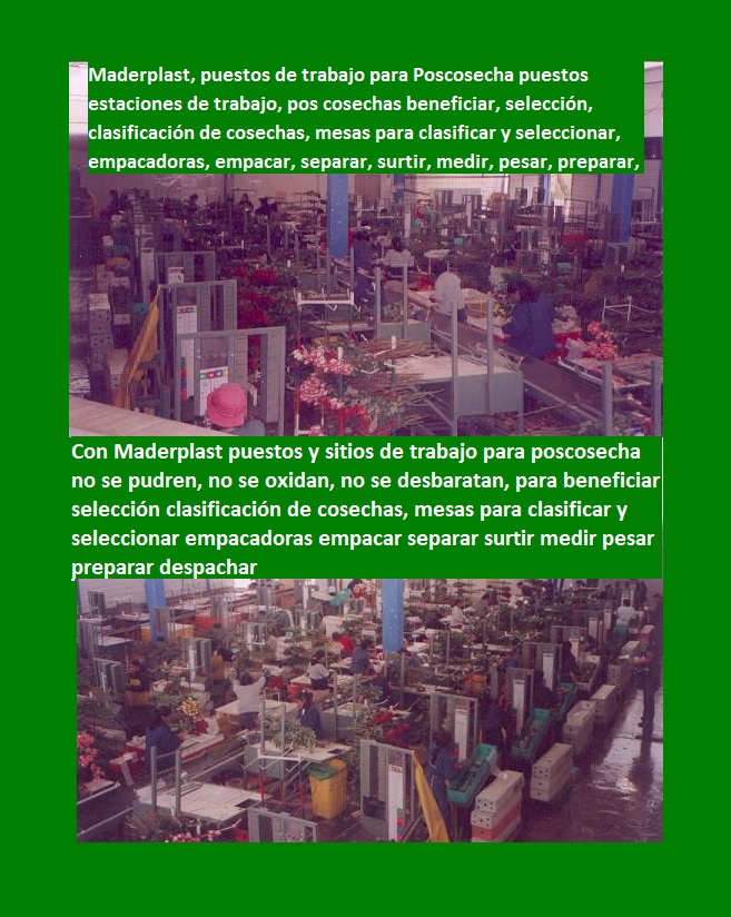 poscosecha puestos estaciones de trabajo pos cosechas beneficiar selección clasificación de cosechas mesas para clasificar y seleccionar 000 poscosecha puestos estaciones de trabajo pos cosechas beneficiar selección clasificación de cosechas mesas para clasificar y seleccionar 000